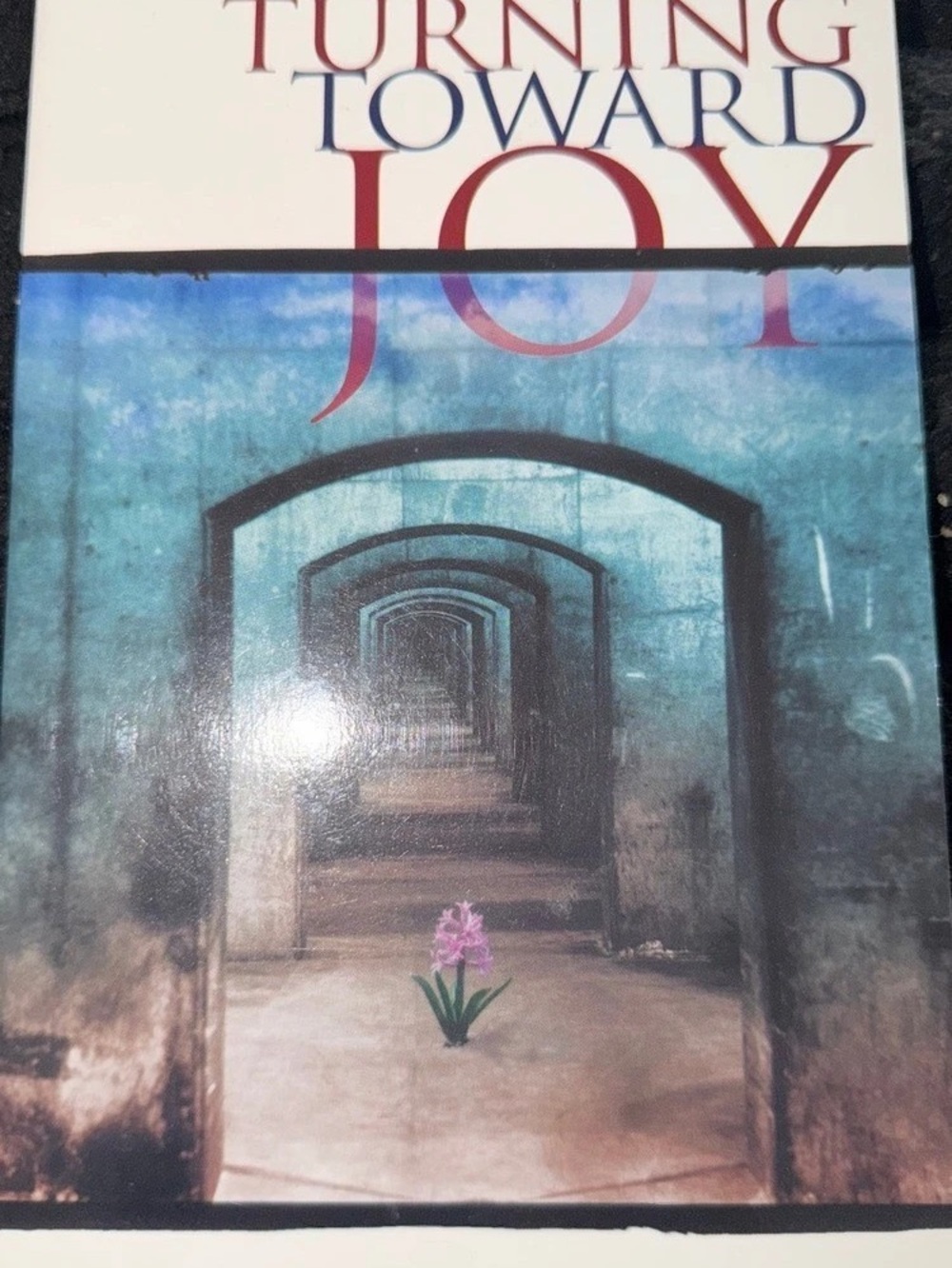 Thomas Nelson Turning Toward Joy: The Book of Philippians Book